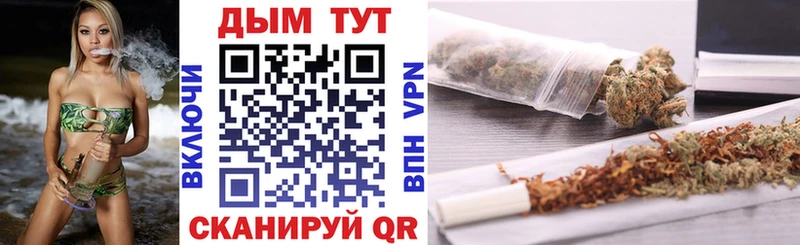 купить   Ахтубинск  Конопля Bruce Banner 